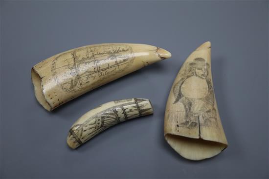 Three Scrimshaw tusks, largest 14cm